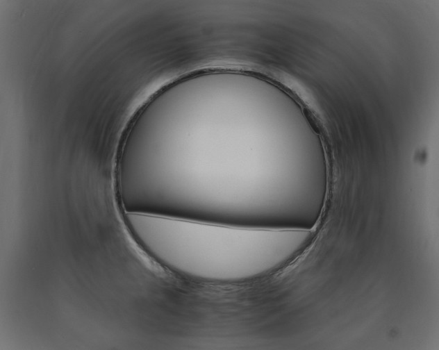 X0000091011237200708021359