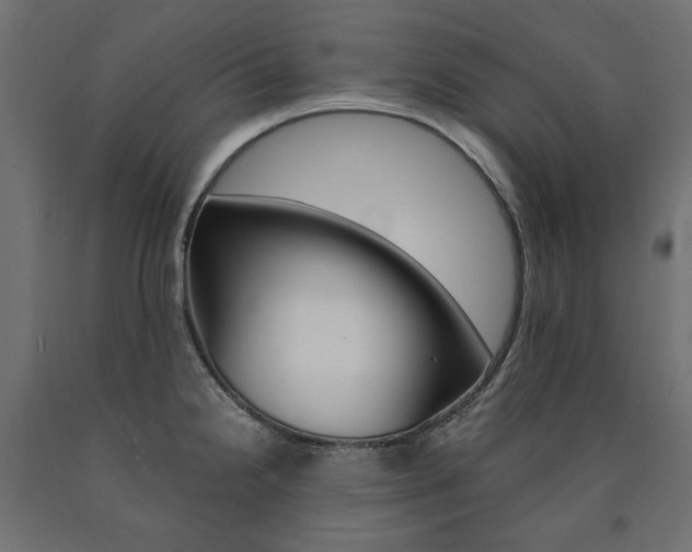 X0000091011238200708021359
