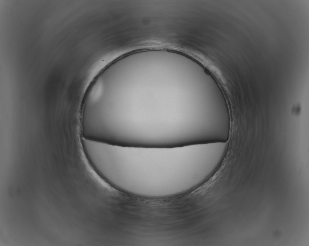 X0000091011239200708021359