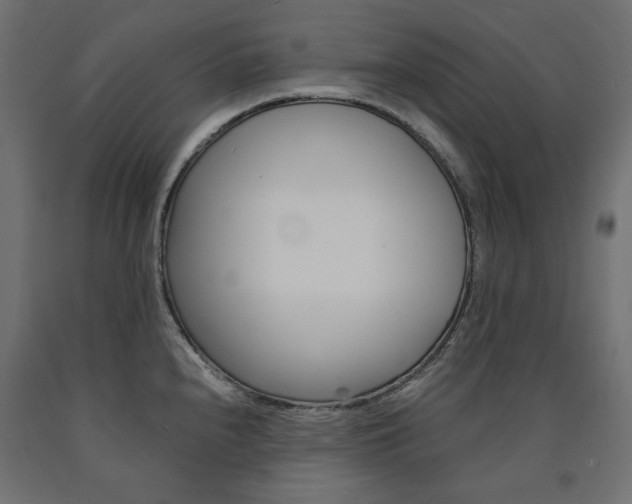 X0000091011240200708021359