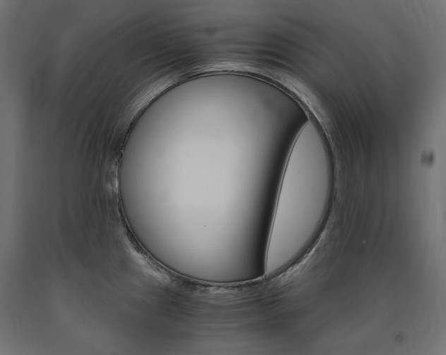 X0000091011241200708021359