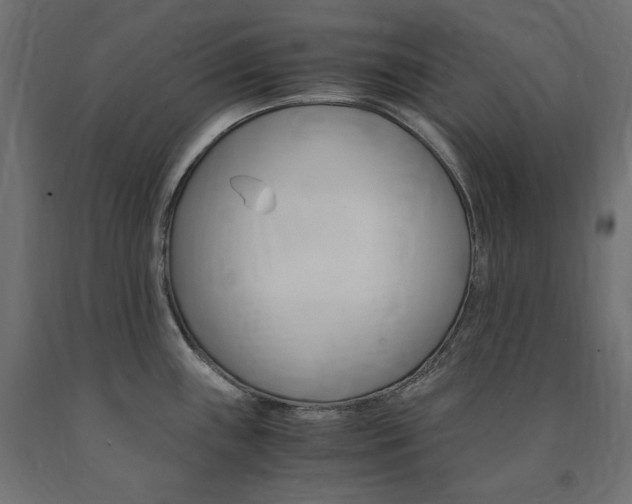 X0000091011243200708021359