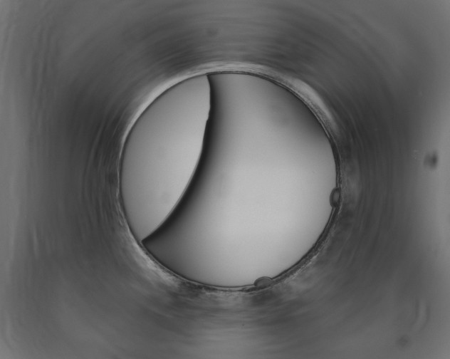 X0000091011244200708021359
