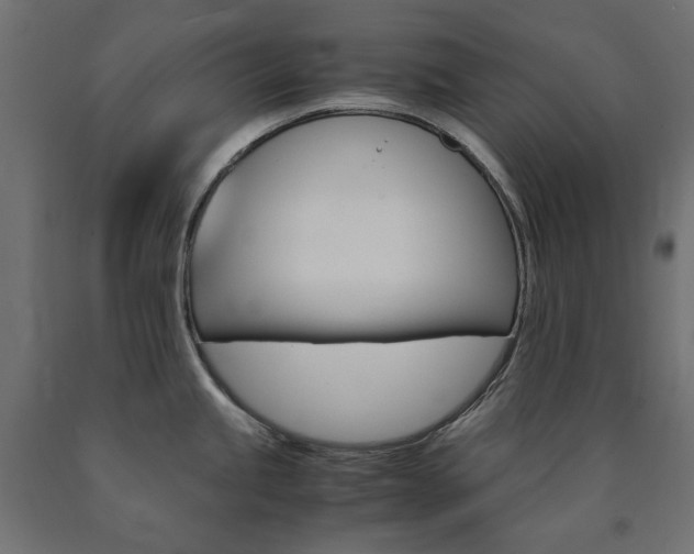 X0000091011245200708021359