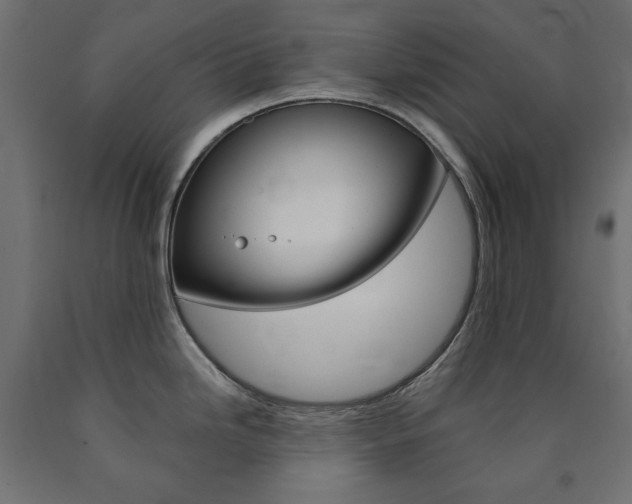 X0000091011246200708021359