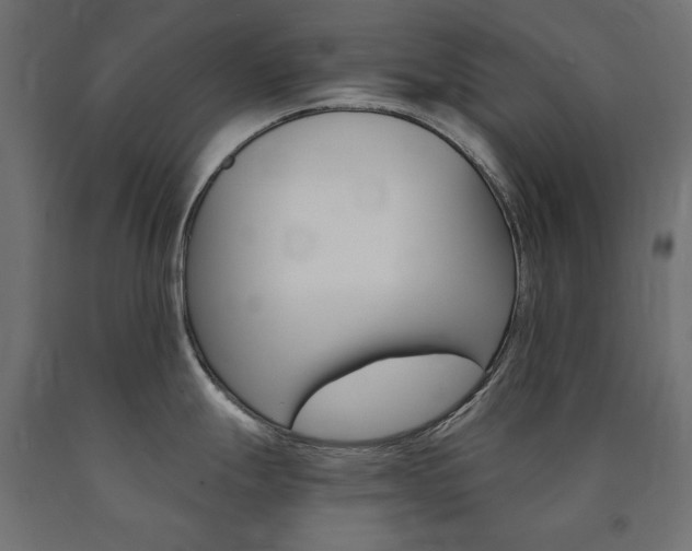X0000091011247200708021359