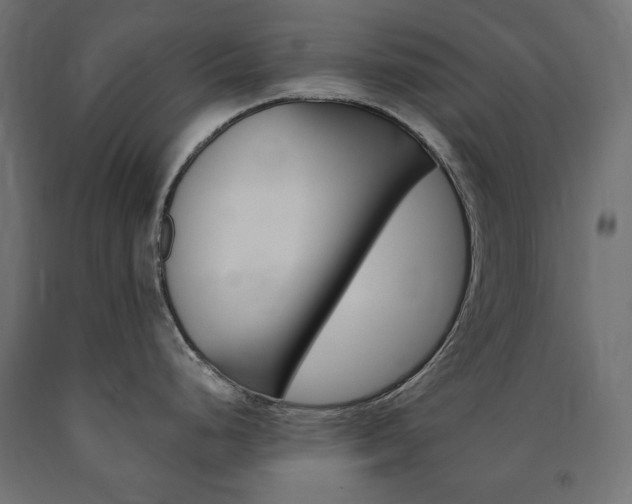 X0000091011248200708021359