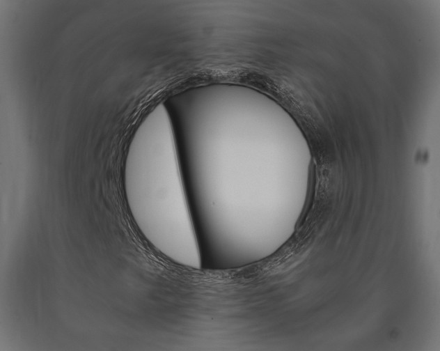 X0000091011249200708021359