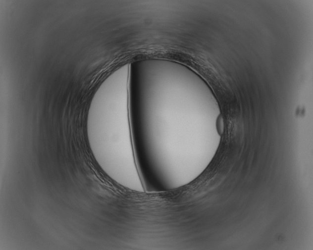 X0000091011250200708021359