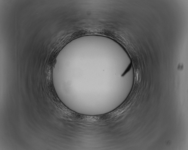 X0000091011251200708021359