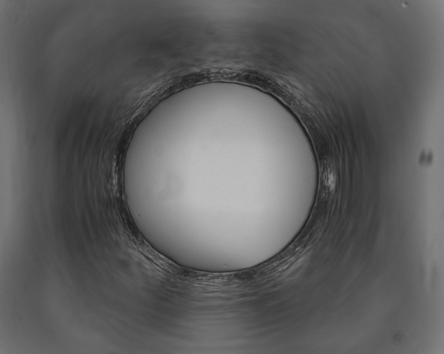 X0000091011252200708021358