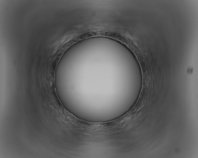 X0000091011253200708021358
