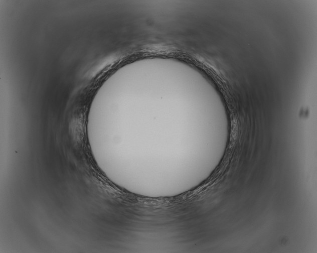 X0000091011254200708021358