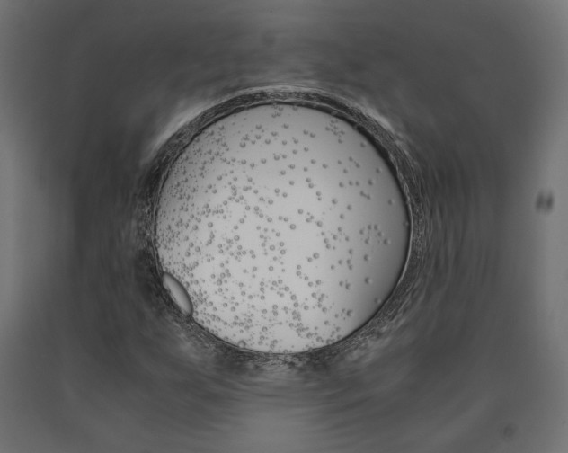 X0000091011255200708021358