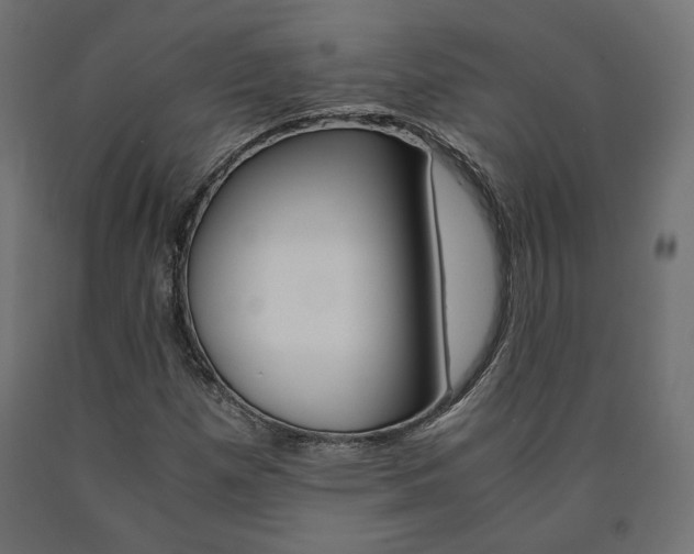 X0000091011257200708021358