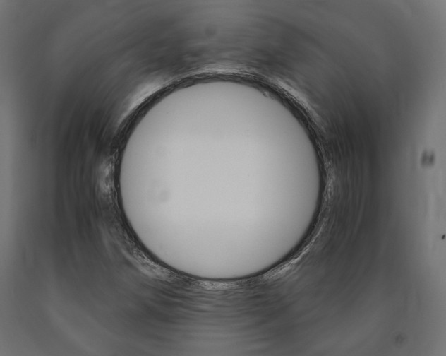 X0000091011258200708021358