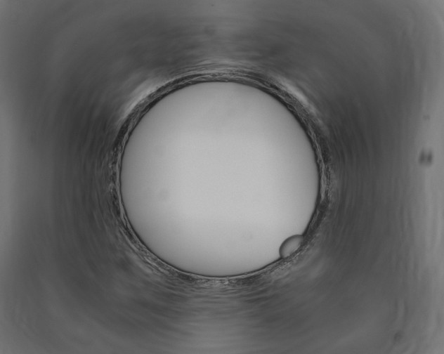 X0000091011259200708021358