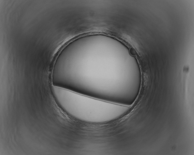 X0000091011260200708021358