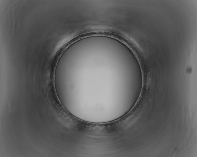 X0000091011261200708021358