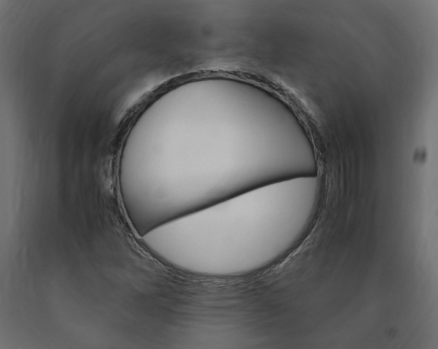 X0000091011262200708021358