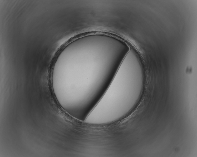 X0000091011264200708021358