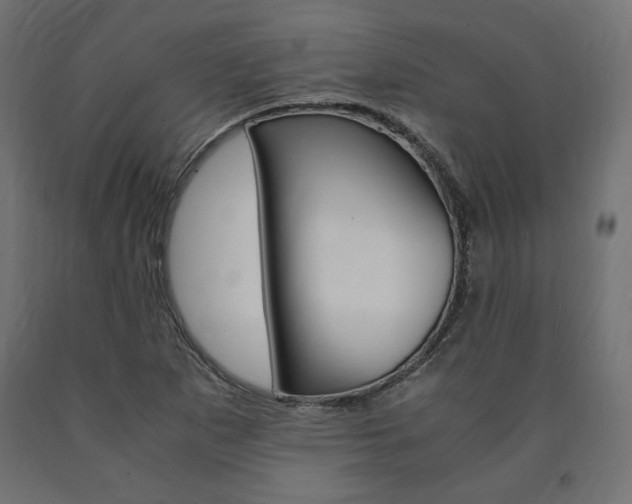 X0000091011265200708021358