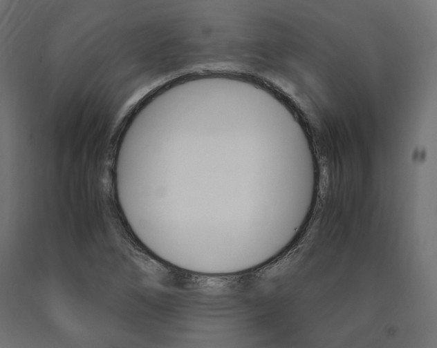 X0000091011266200708021358