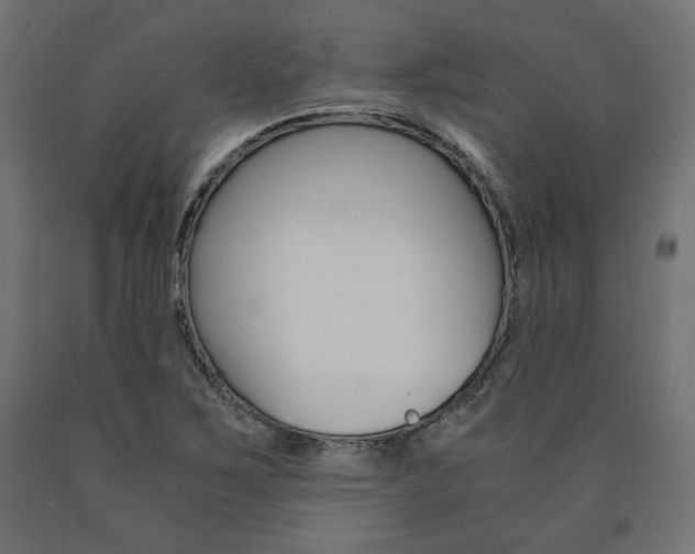 X0000091011267200708021358