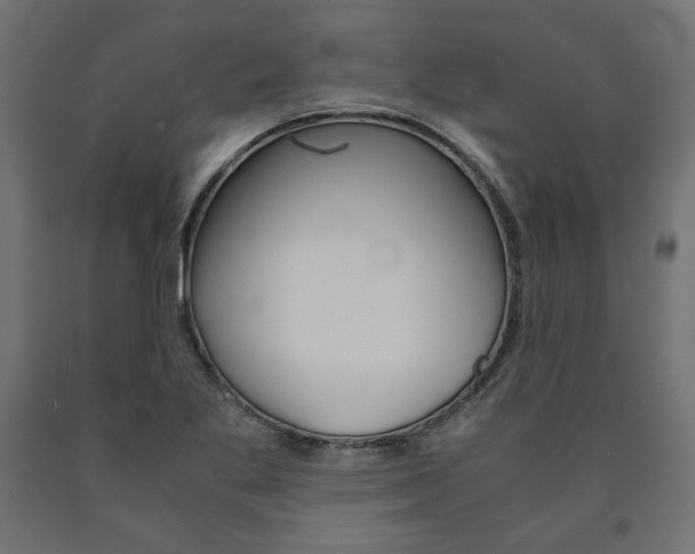 X0000091011269200708021358
