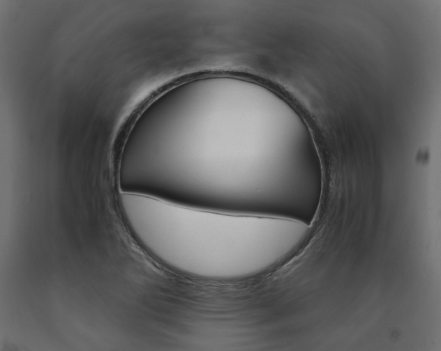 X0000091011270200708021358