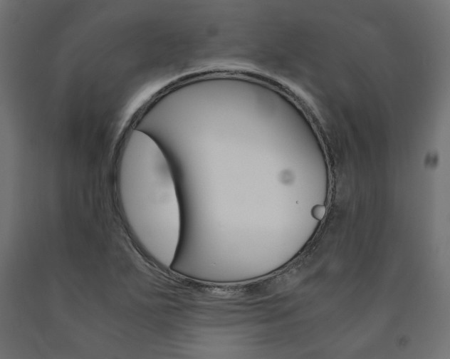 X0000091011271200708021358