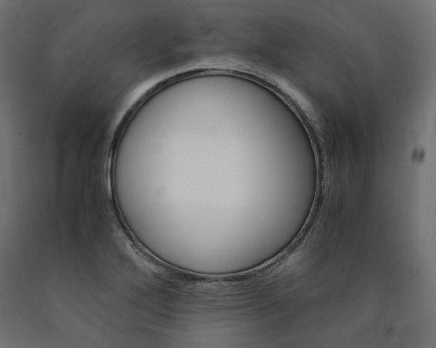 X0000091011272200708021358