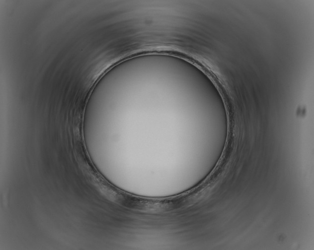 X0000091011273200708021358