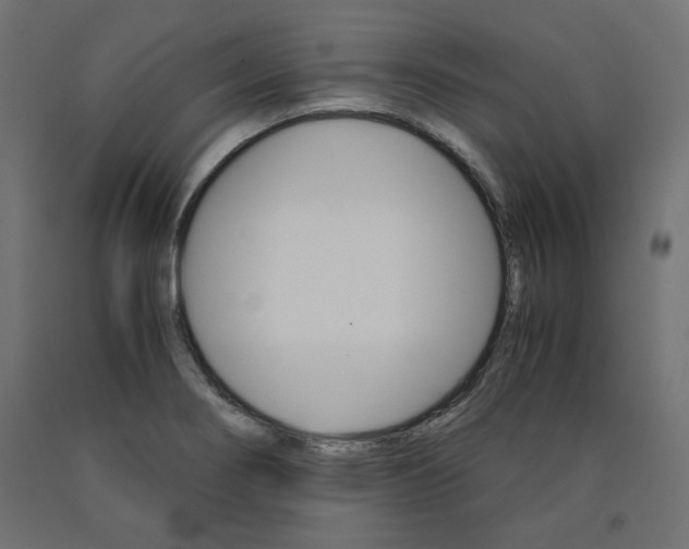 X0000091011274200708021358