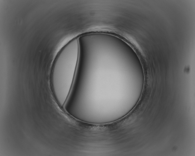X0000091011277200708021358