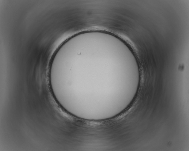 X0000091011278200708021358