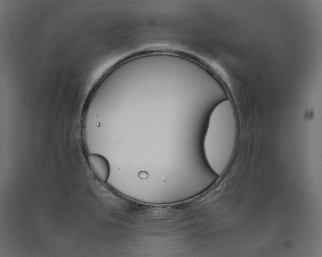 X0000091011279200708021358