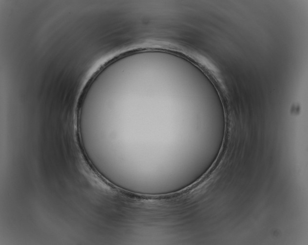 X0000091011280200708021358