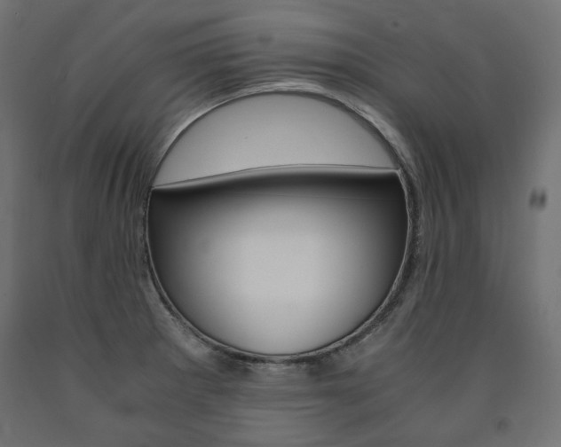 X0000091011281200708021358