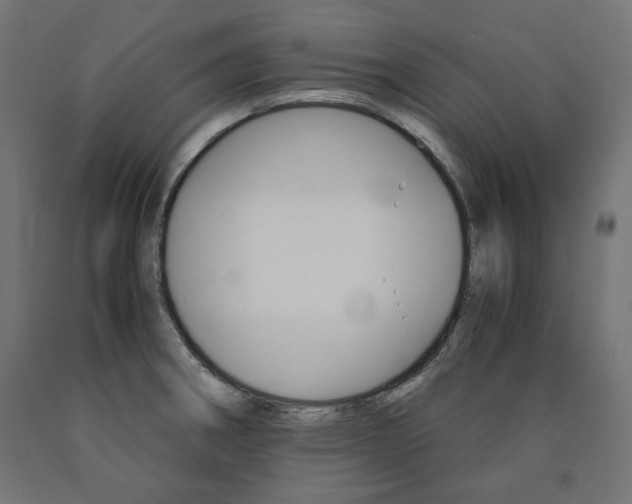 X0000091011282200708021358