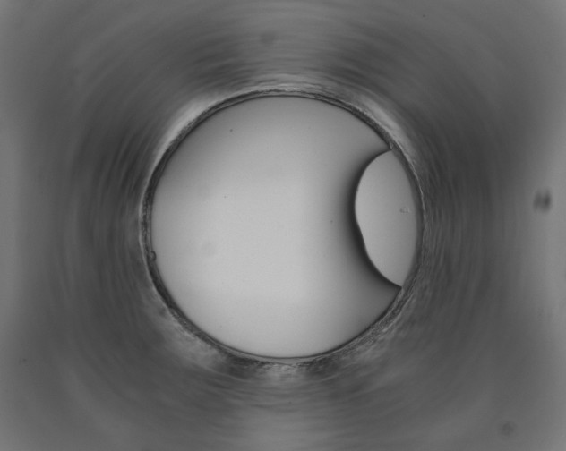 X0000091011283200708021358