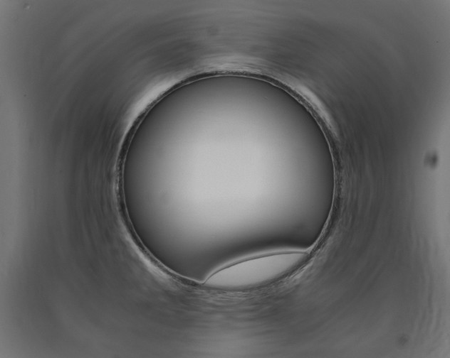 X0000091011285200708021358