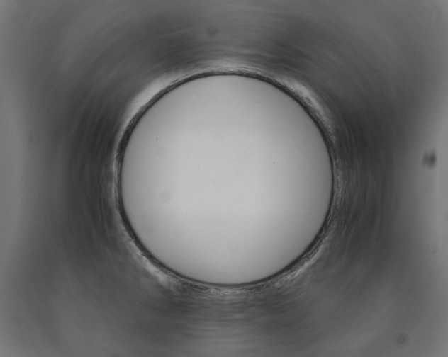 X0000091011286200708021358