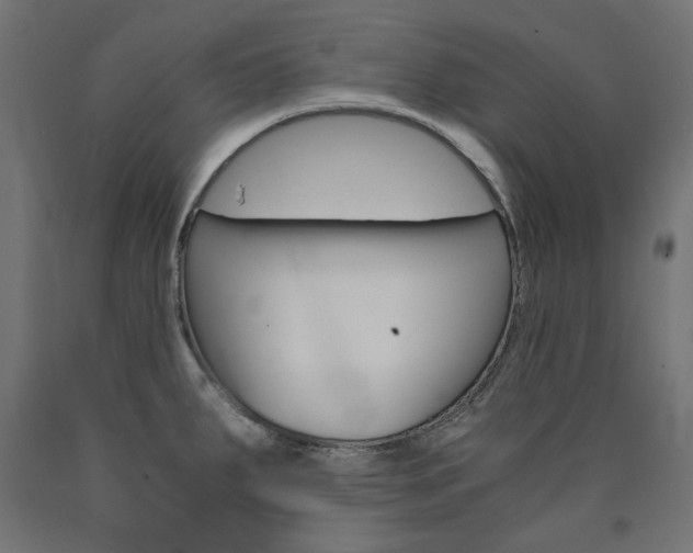 X0000091011287200708021358