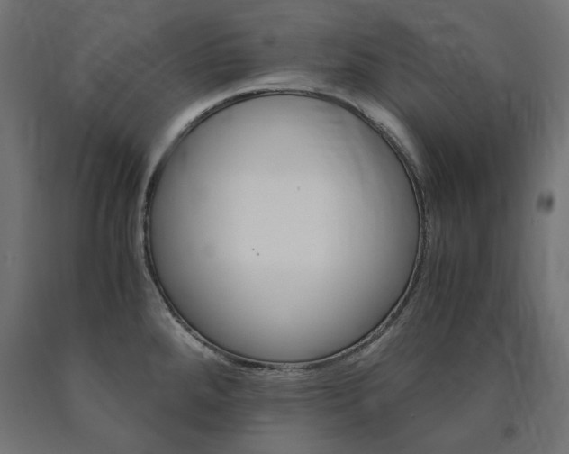 X0000091011288200708021358