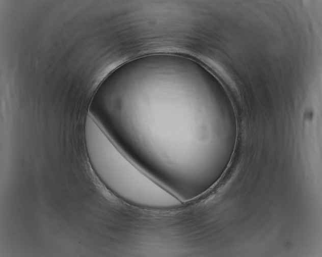 X0000091011289200708021358
