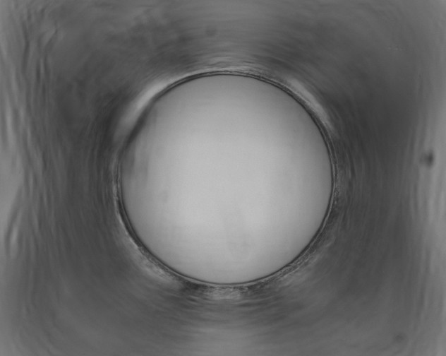 X0000091011291200708021358