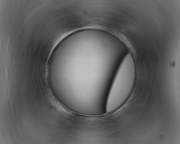 X0000091011292200708021358