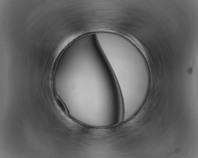 X0000091011293200708021358