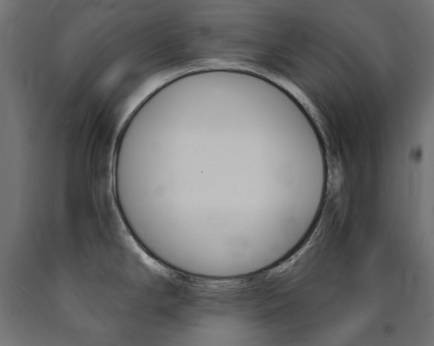X0000091011294200708021358